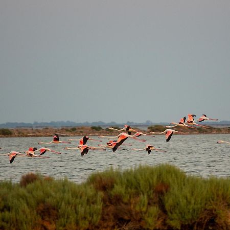 Lido di Pomposa Flat a due passi dalla Spiaggia! Esterno foto