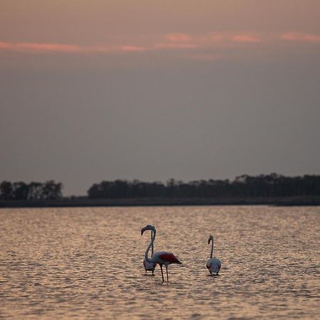 Lido di Pomposa Flat a due passi dalla Spiaggia! Esterno foto